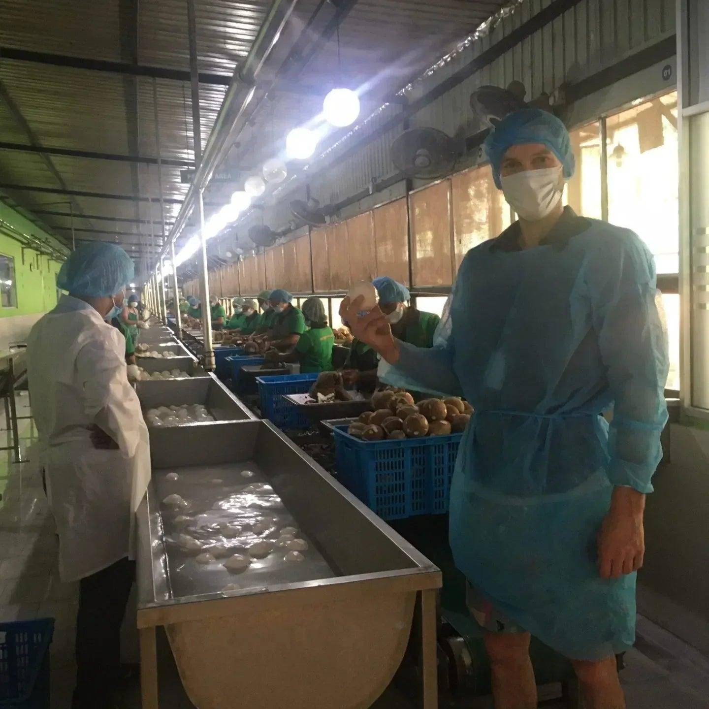 Een kijkje achter de schermen van onze kokosolie - de pindakaaswinkel